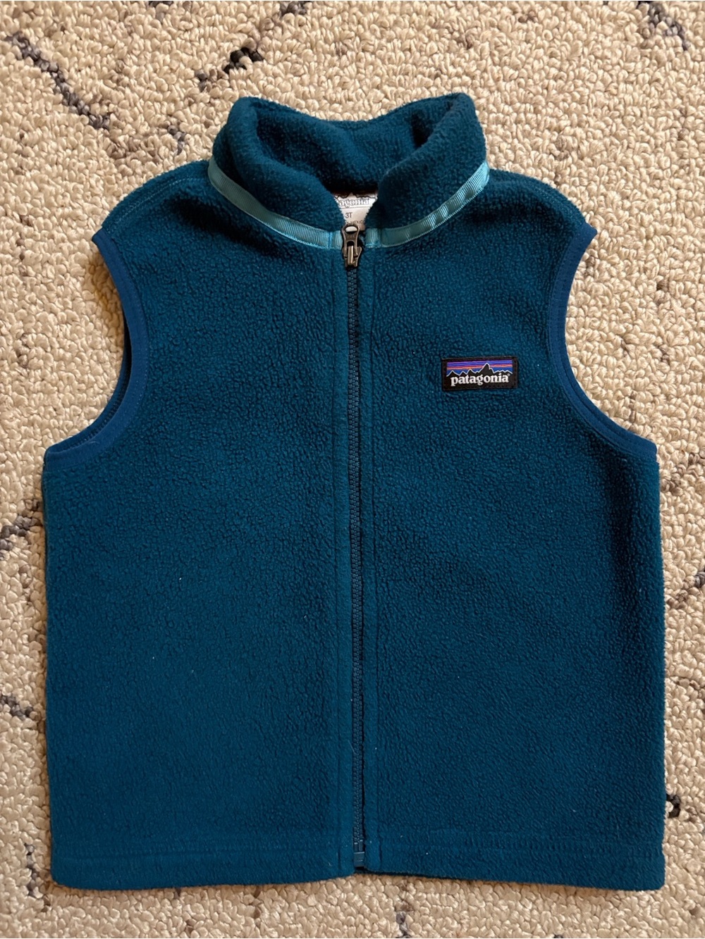 Patagonia Kids  Fleece Vest (3T)